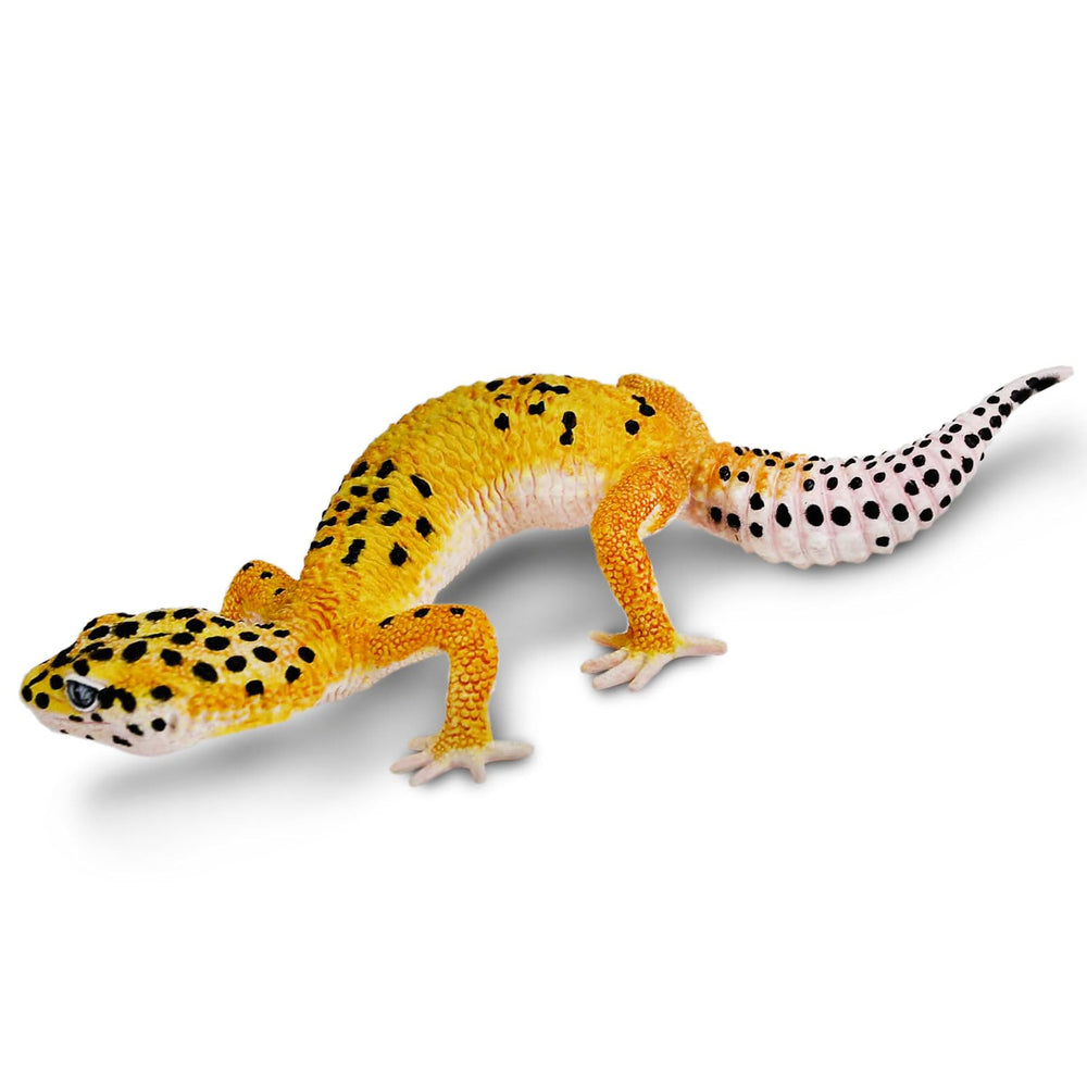 Safari Ltd. Leopard Gecko Figurine hand-painted detail supports hands-on learning and storytelling.