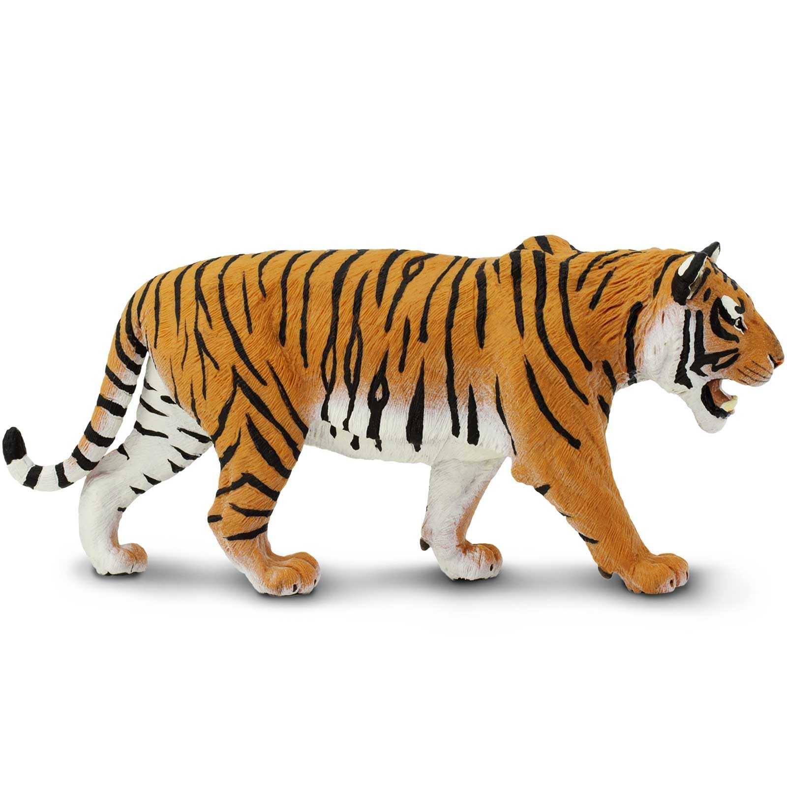 10.5 inch scale model for classroom demonstrations and play