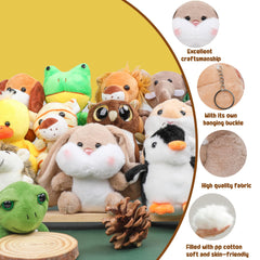Safari stuffed animals turtle adds gentle, colorful wonder to classroom décor