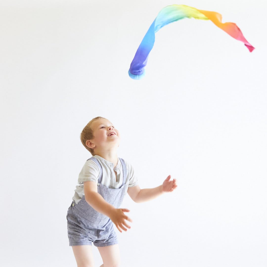 Outdoor beach park play encourages family fun with Sarah's Silks Skytail Blue Rainbow Comet.