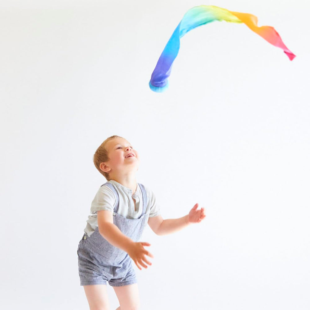 Outdoor beach park play encourages family fun with Sarah's Silks Skytail Blue Rainbow Comet.