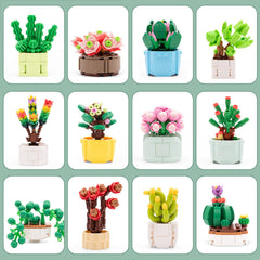 SATHIBI botanical building blocks with clear instructions promote easy, creative assembly.