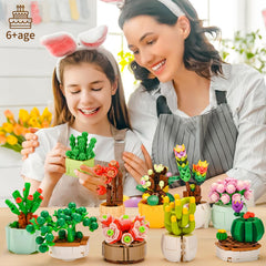 SATHIBI gift set succulent bonsai offers a unique, creative present.