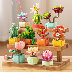 Sawaruita building-set close-up reveals clear instructions for adults enjoying hands-on craft.