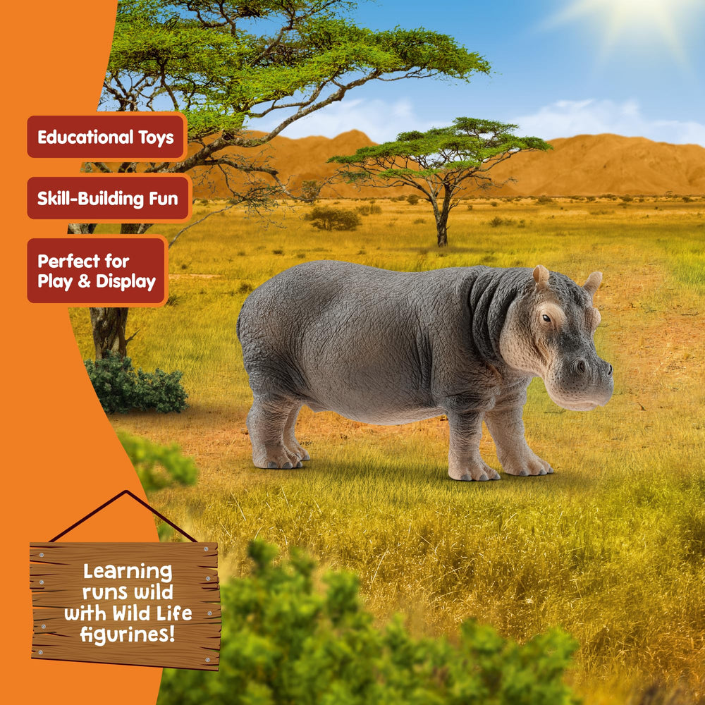 Schleich hippo closeup skin texture for tactile exploration.