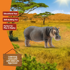 Schleich hippo closeup skin texture for tactile exploration.