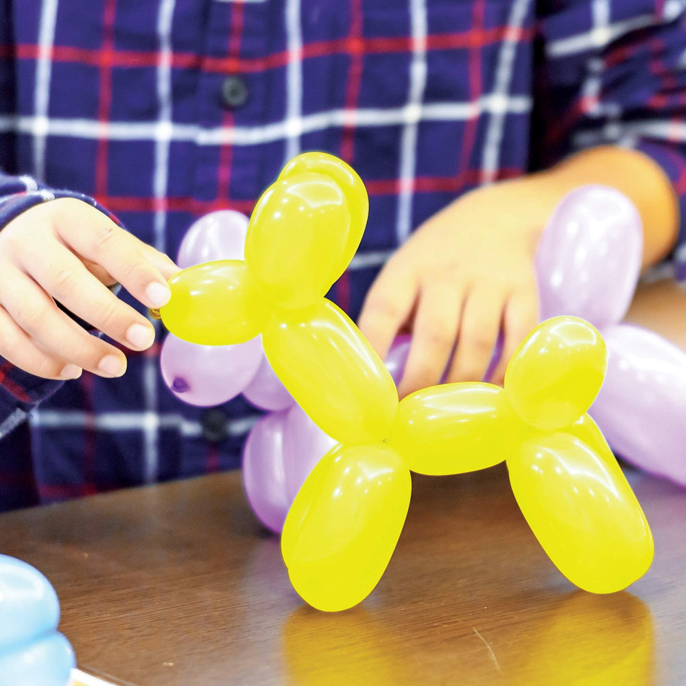 Schylling Balloon Animals Kit balloons display in colorful setup
