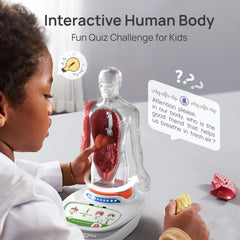 Science Can base and stand provide stable display for classroom or home use.