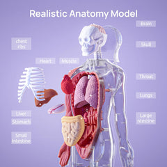 Science Can bone detail close-up highlighting skeletal structure for visual study.