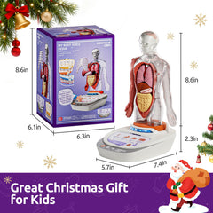 Science Can 15-piece model kit ideal for STEM activities at home or school.