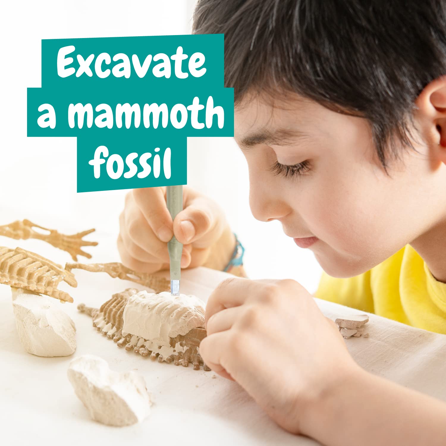 Science4you Mammoth chisel: precise tool to carefully reveal delicate bone impressions.