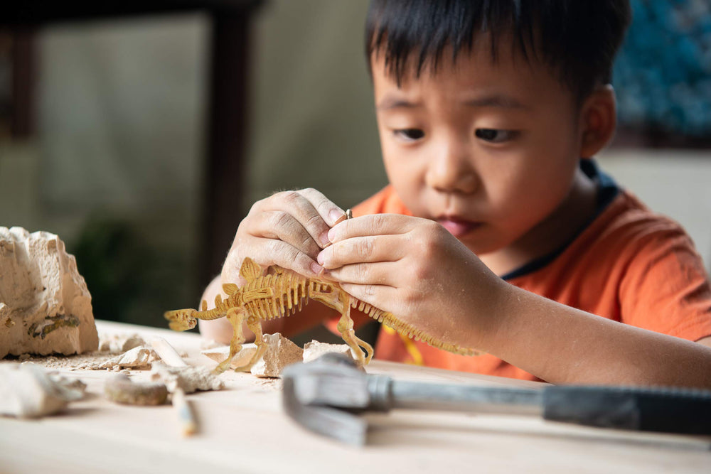Science4you STEAM toy promotes curiosity through hands-on excavation