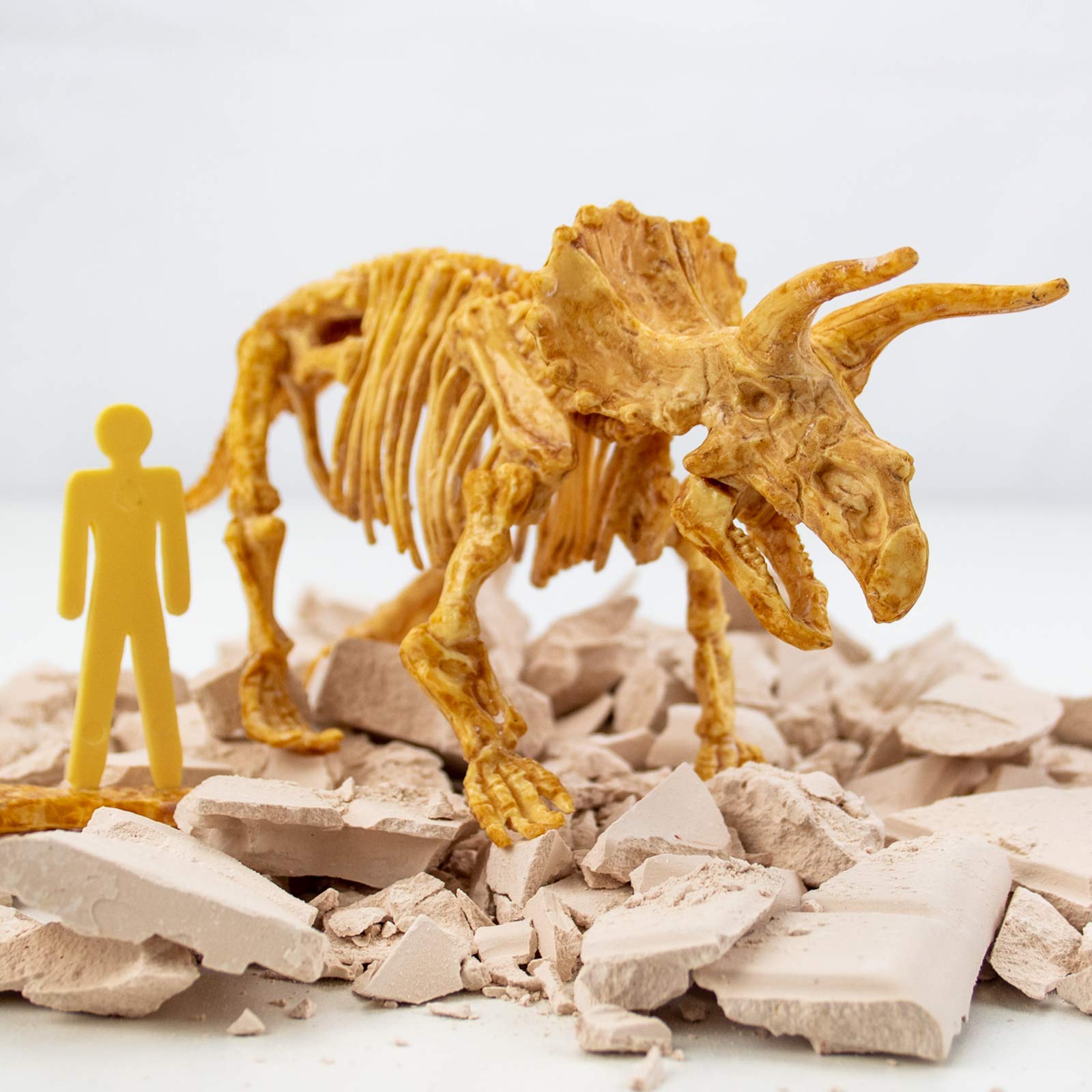Science4you Triceratops educational book open to multilingual learning pages.