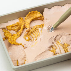 Science4you Triceratops fossil hammer in use for careful excavations.