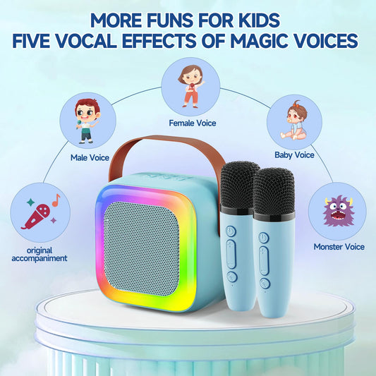 SECULEAD two wireless microphones deliver shared singing fun.
