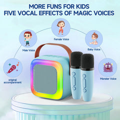 SECULEAD two wireless microphones deliver shared singing fun.