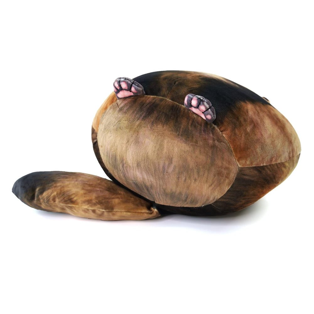 Sew Butiful Raccoon Plush, gift-ready for kids and plush lovers.