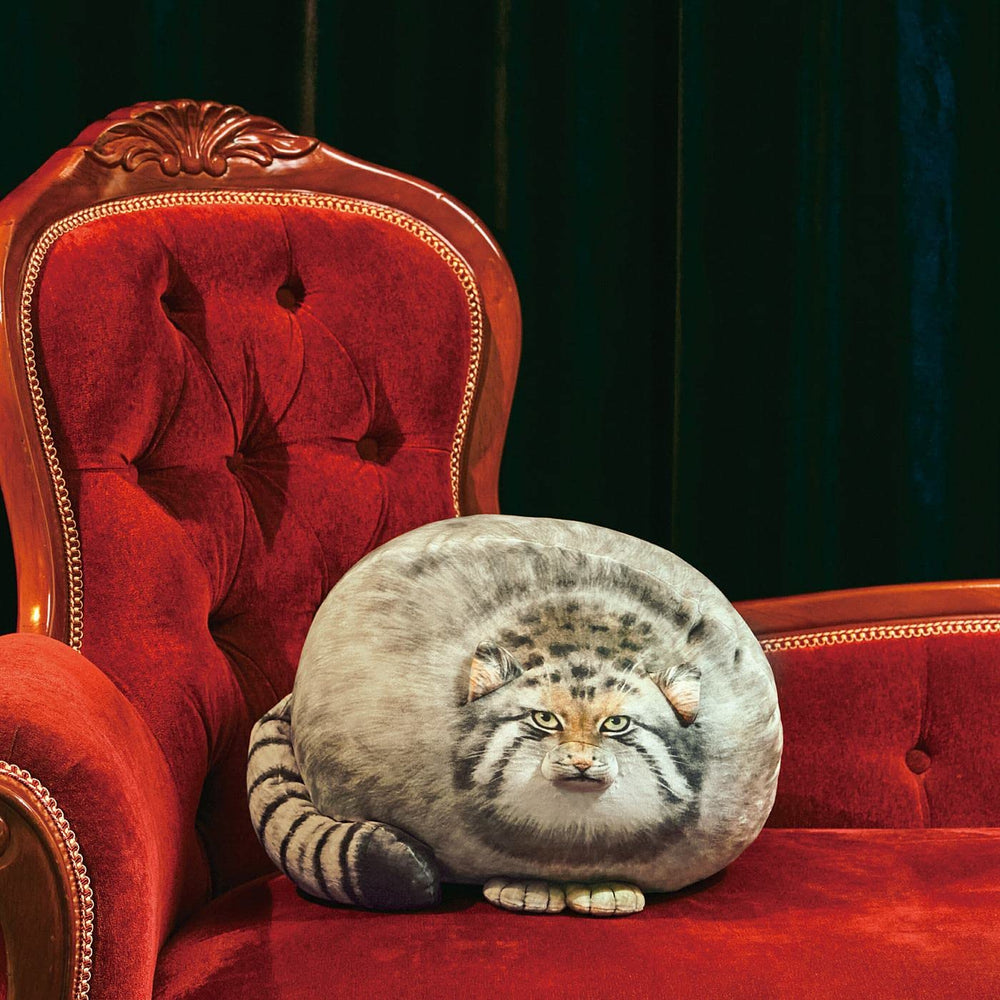 Sew Butiful Steppe Cat Plush fabric detail highlights soft, skin-friendly material.