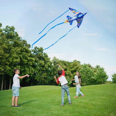 SGftre fighter plane kite with compact packaging for carry-ready use