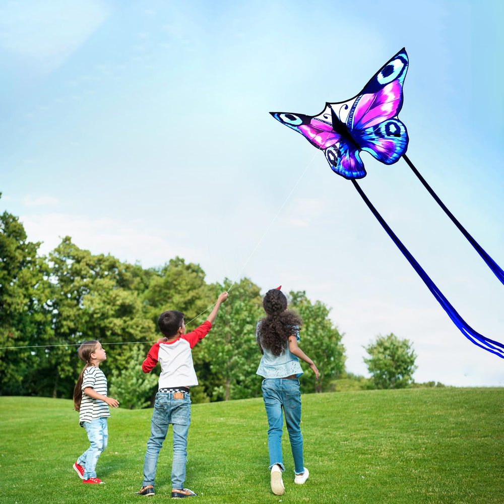 SGftre butterfly kite adds colorful sky drama to family games.