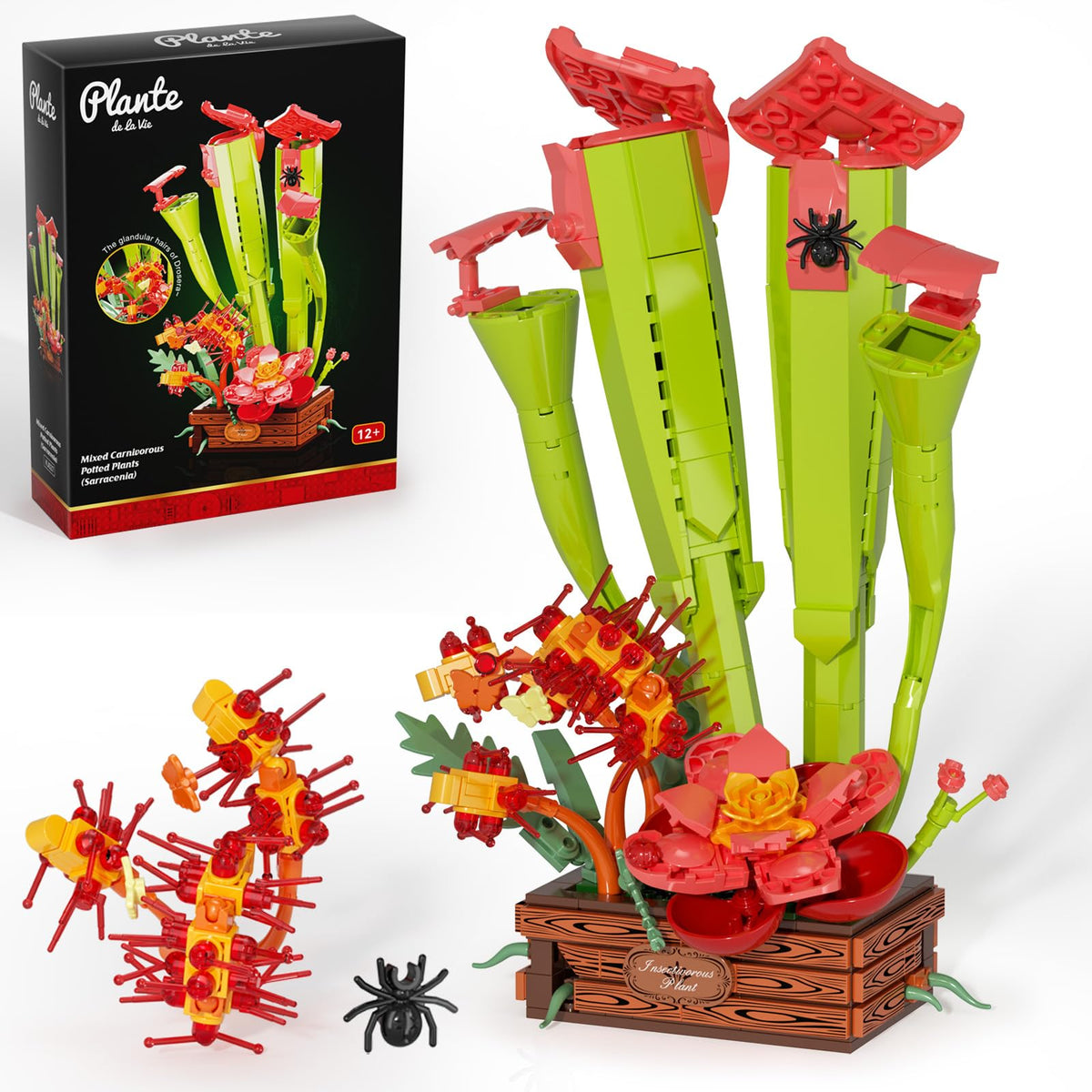 SHAREHB Carnivorous Plant Set pitcher-plant close-up for desk decor and STEM exploration