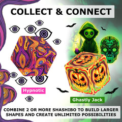 Shashibo sensory toy gift set for all ages