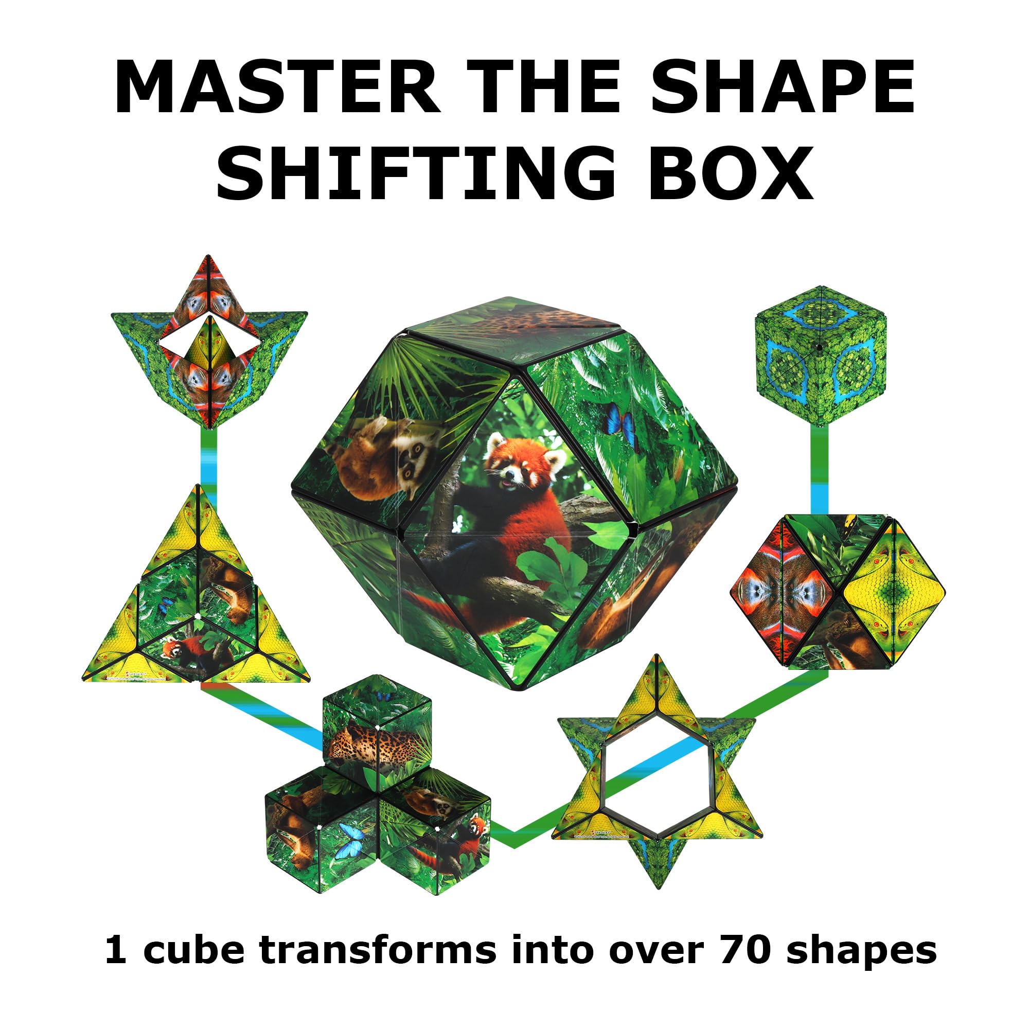 Shashibo Jungle creative sculpture setup shown.