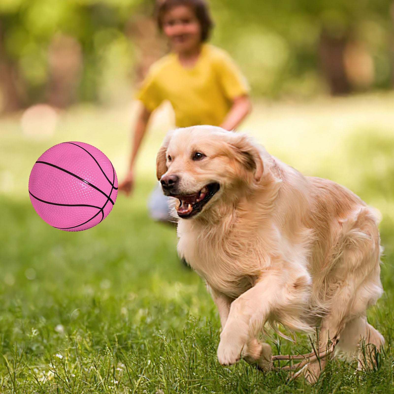 Shindel mini basketballs ideal for garden and playground activities.