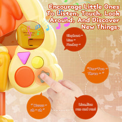 SHXYKZ rotating gears and buttons develop fine motor skills during exploration.