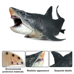 SIENON Megalodon toy with detailed paint showcasing craftsmanship