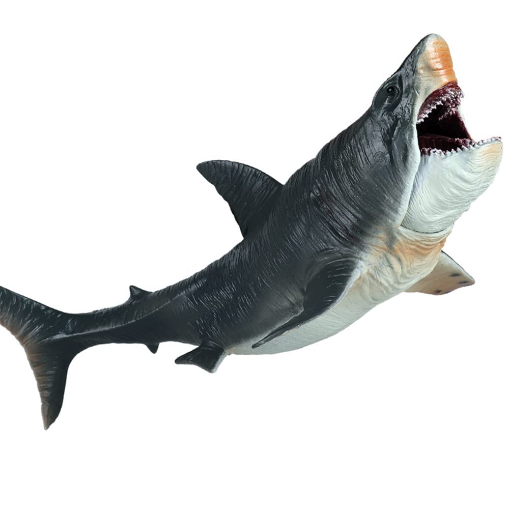SIENON Megalodon toy front view with vibrant realism for ocean learning