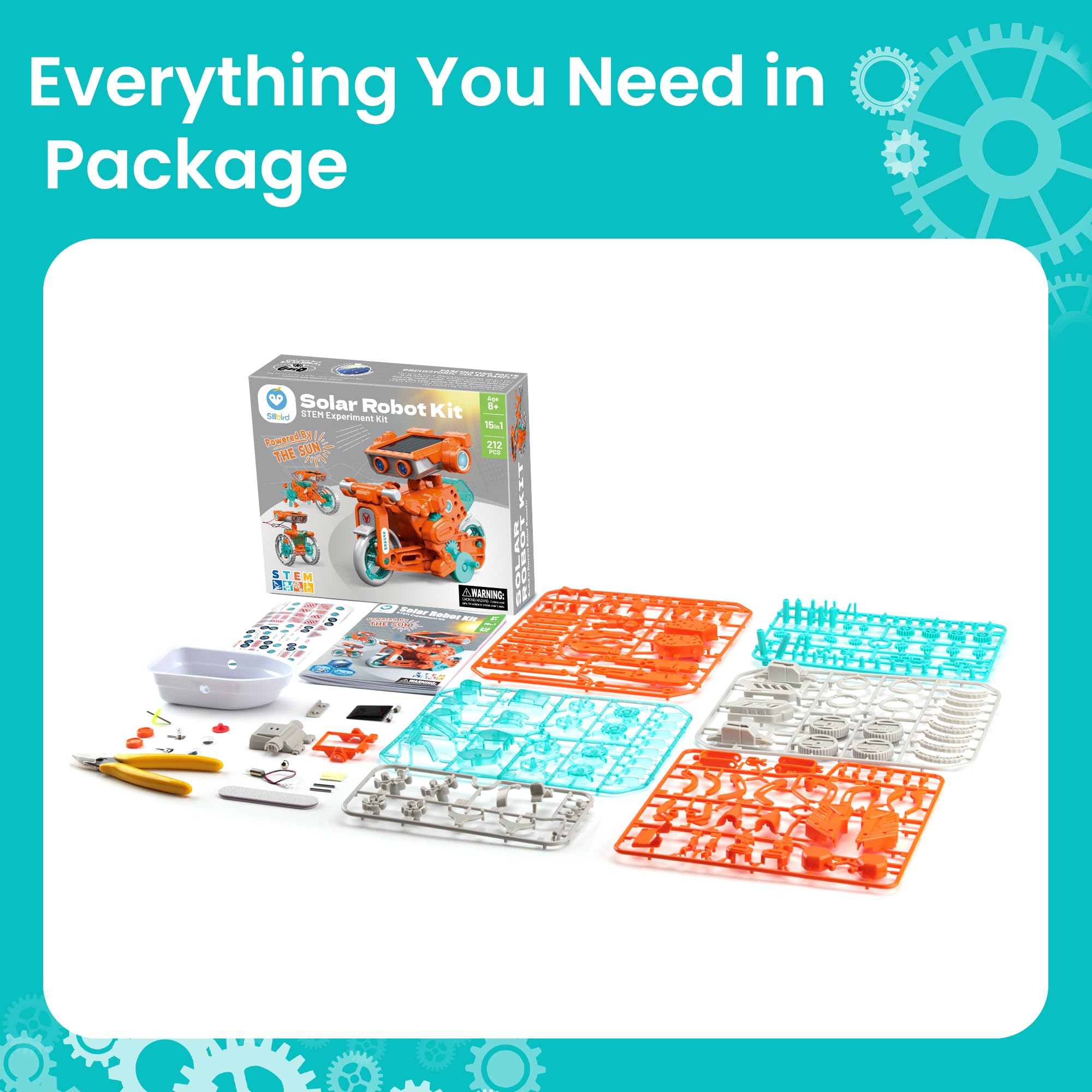 Sillbird classroom stem-activity features teacher-led engagement and student curiosity.