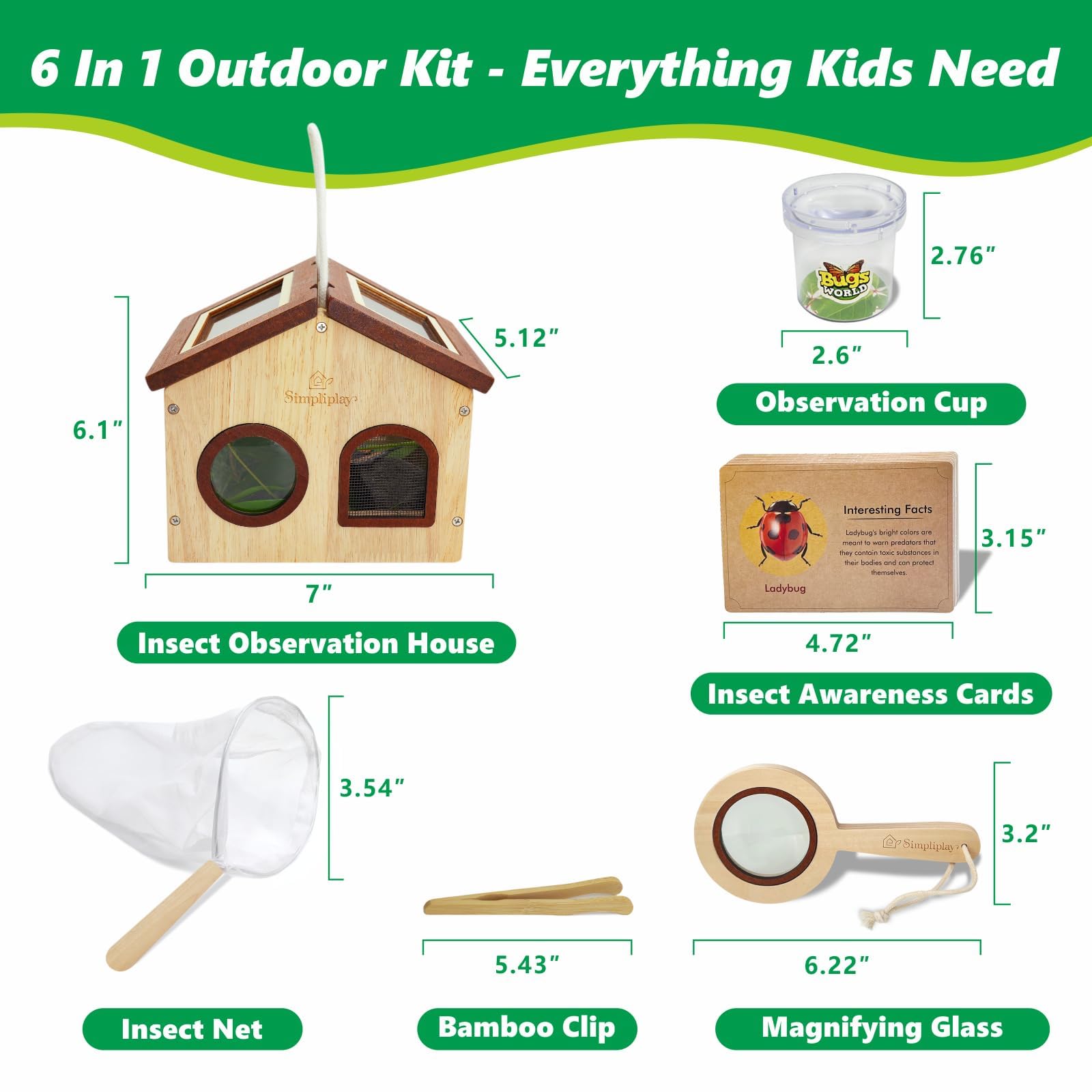 SIMPLIPLAY insect fact cards spark curiosity with kid friendly science bits.