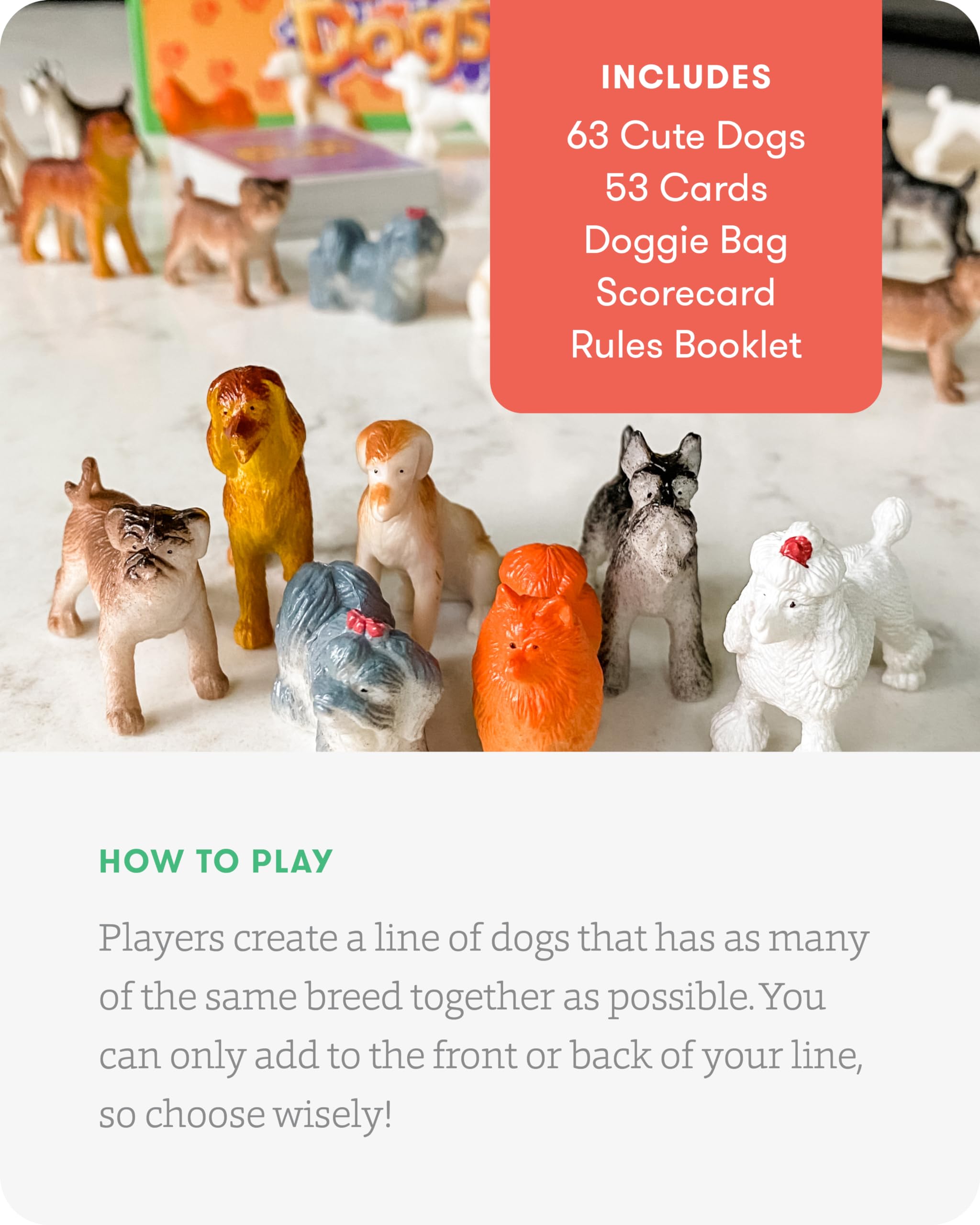 SimplyFun Walk the Dogs dog pieces close-up shows colorful, tactile pieces for sorting.