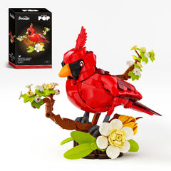 Sinuraii Northern Cardinal on pear branch for spring decor.