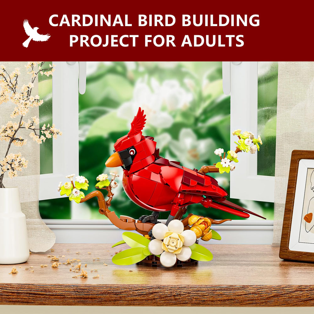 Sinuraii Northern Cardinal with white dogwood flowers displays elegance.