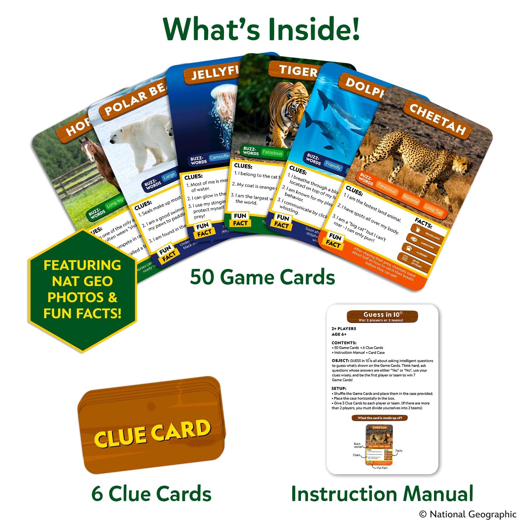 Skillmatics clue cards and card holder arranged — helps organized gameplay and strategy