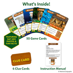 Skillmatics clue cards and card holder arranged — helps organized gameplay and strategy