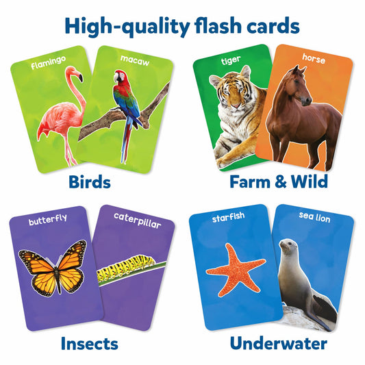 Skillmatics Thick Flash Cards showcase insects for early curiosity and recognition.