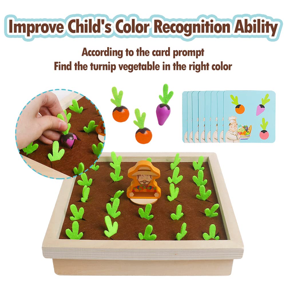 Skrtuan memory cards support quick matching practice during playtime.