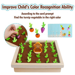 Skrtuan memory cards support quick matching practice during playtime.