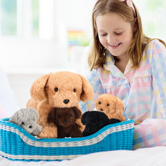Skylety gift-ready packaging makes a thoughtful present for celebrations