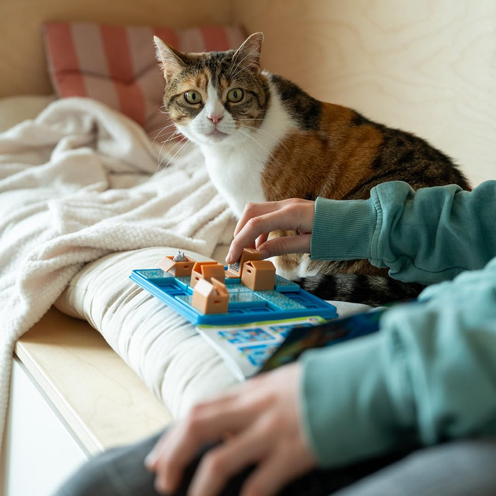 SmartGames Cats & Boxes solution pad—helpful reference for stuck moments.
