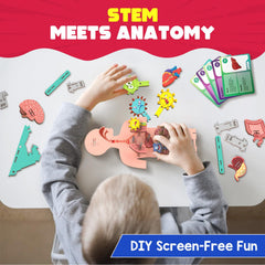 Smartivity human body model card games encourage teamwork and learning