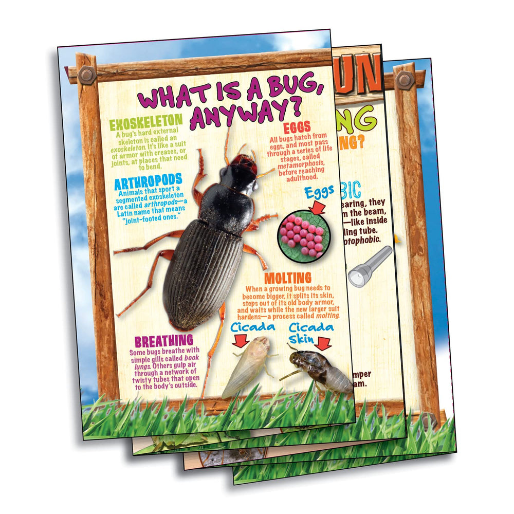 SmartLab Illustrated science booklet expands insect knowledge with hands-on activities.
