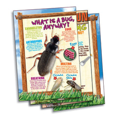 SmartLab Illustrated science booklet expands insect knowledge with hands-on activities.