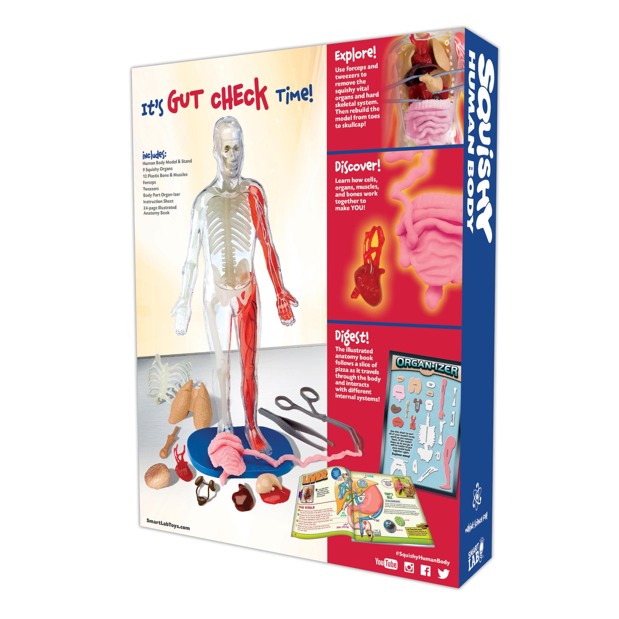 SmartLab QPG Lab anatomy model closeup for hands-on science learning.