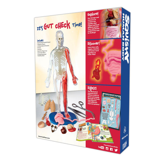 SmartLab QPG Lab anatomy model closeup for hands-on science learning.
