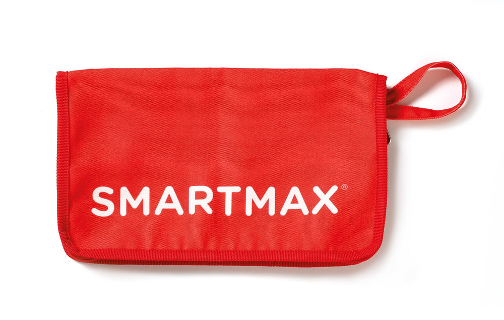 SmartMax My First Animals lions and penguins offer builds that spark storytelling and recognition.