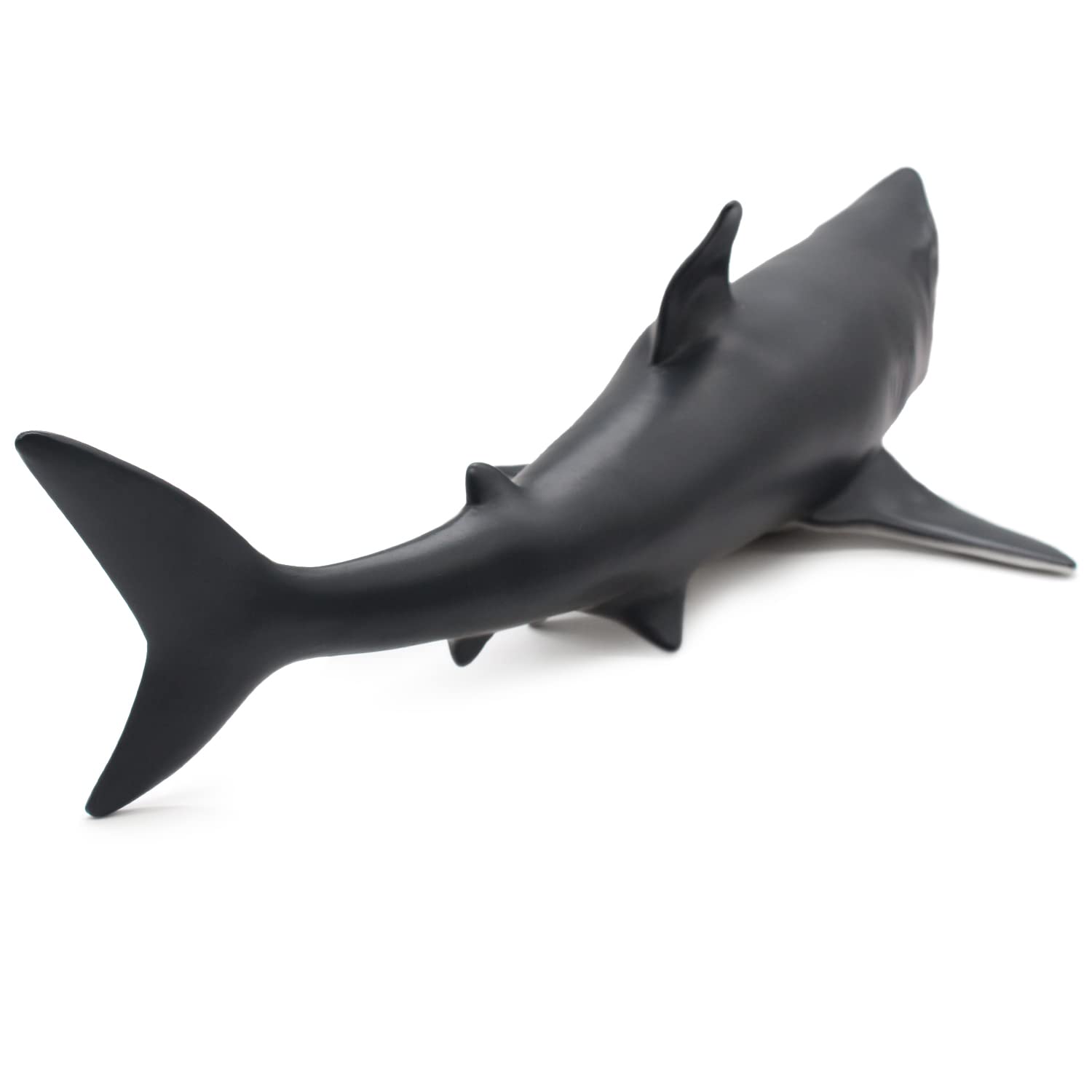SmilerSmile educational shark prop for classroom demonstrations